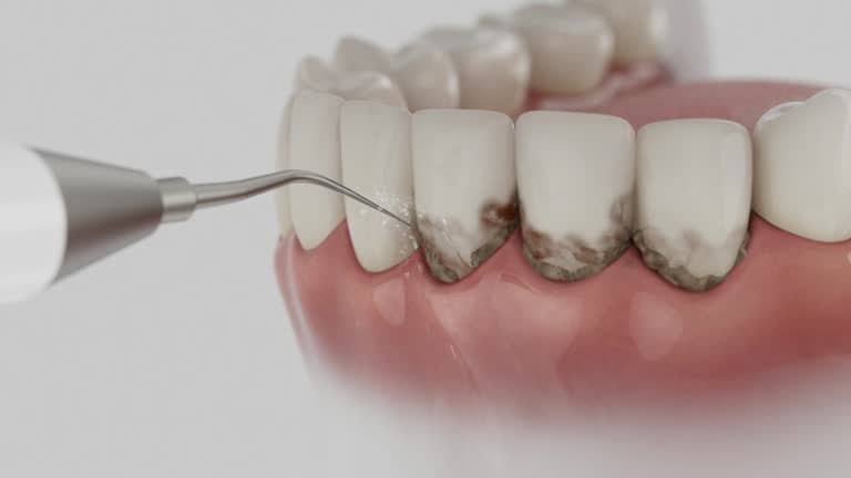 Reliable Dental contractor in Lynwood, IL by Dentist Open Now